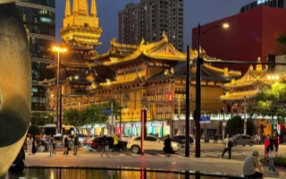 爱上海品茶交流：2025年城市心灵港湾